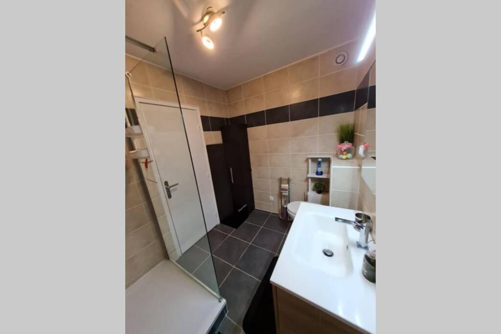 Chez Romain, Appartement Proche Commerces Et Centre Ville Avec Wifi Verdun-sur-Meuse Ngoại thất bức ảnh