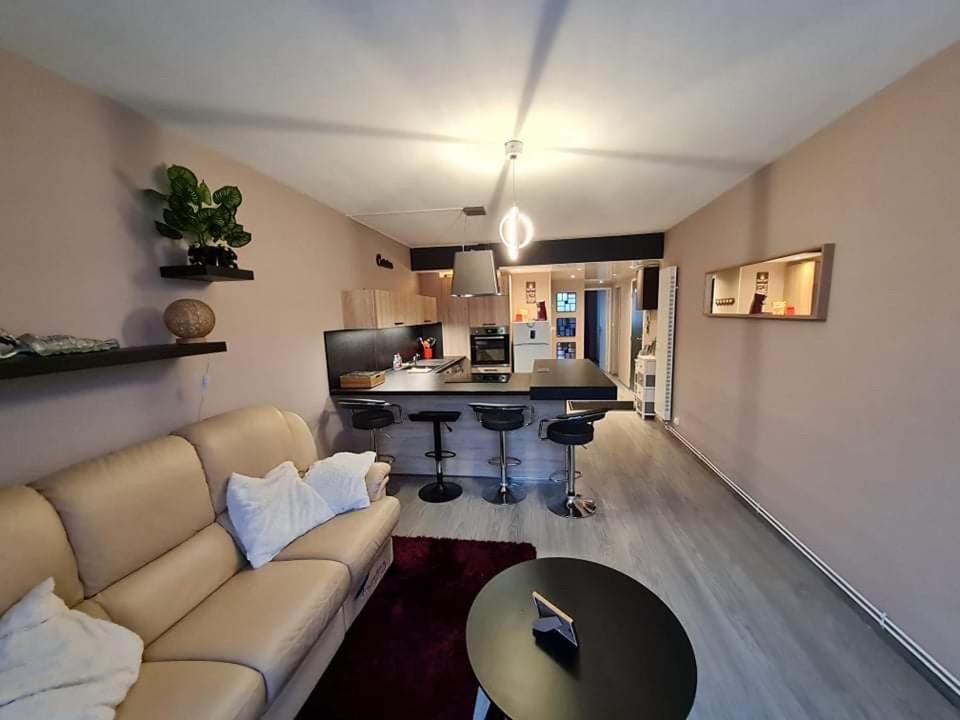 Chez Romain, Appartement Proche Commerces Et Centre Ville Avec Wifi Verdun-sur-Meuse Ngoại thất bức ảnh